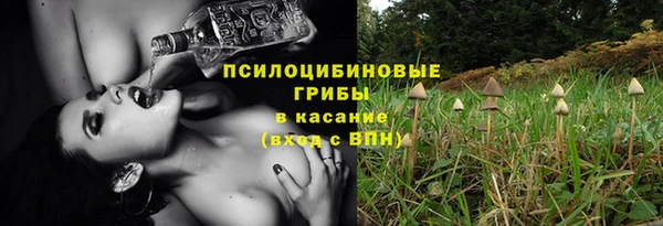 герыч Алзамай