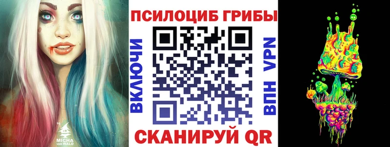 Галлюциногенные грибы Psilocybine cubensis  как найти   ОМГ ОМГ зеркало  Мышкин 